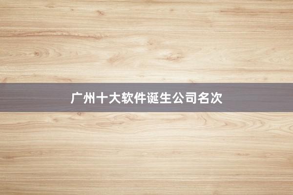 广州十大软件诞生公司名次